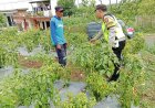 Polres Malang Dorong Kemandirian Pangan melalui Pemberdayaan Masyarakat di Tingkat Desa
