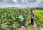 Polres Malang Masifkan Dukungan Ketahanan Pangan Lewat Pemanfaatan Lahan Produktif