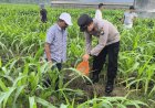 Polres Malang Konsisten Dukung Ketahanan Pangan Lewat Pemberdayaan Potensi Desa