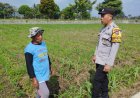 Polres Malang Konsisten Dukung Ketahanan Pangan melalui Optimalisasi Potensi Desa