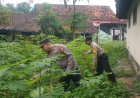 Polres Malang Dorong Ketahanan Pangan Sekaligus Buka Peluang Ekonomi bagi Keluarga
