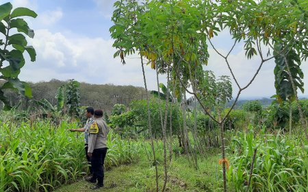 Polres Malang Ajak Masyarakat Kembangkan Pangan Mandiri Berbasis Potensi Wilayah