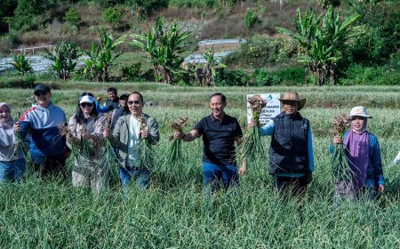 Satgas Pangan Polri Perkuat Swasembada Bawang Putih, Lahan Tanam di Sembalun Capai 534 Hektare