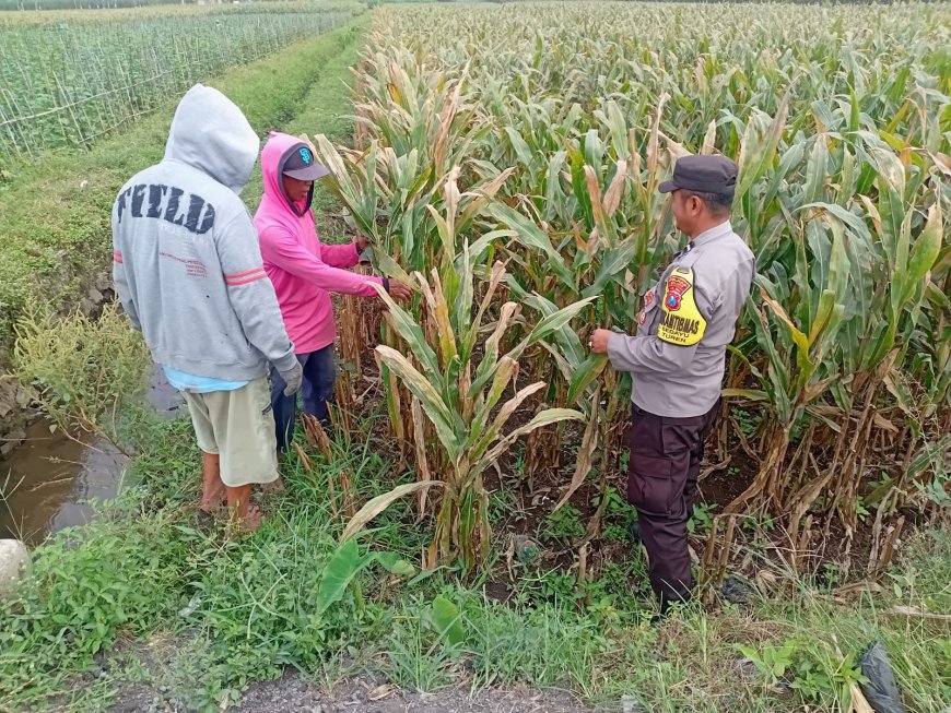 Polres Malang Dorong Pengembangan Pangan Berkelanjutan Berbasis Kekuatan Desa