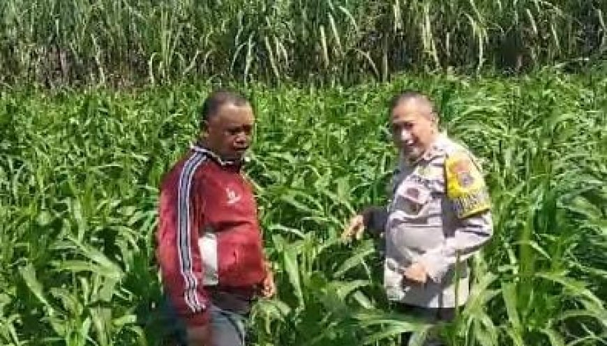 Dari Desa, Polres Malang Dorong Ketahanan Pangan Jadi Kekuatan Ekonomi Warga