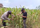 Polres Malang Dorong Pangan Produktif Sekaligus Gerakkan Ekonomi Warga