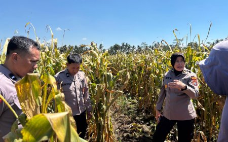 Polres Malang Dorong Desa Produktif Jadi Pilar Ketahanan Pangan Nasional