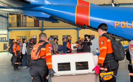 Terbang dengan Pesawat Khusus, Polri Kerahkan 10 K9 SAR Berpengalaman ke Flores, Misi Pencarian Korban  J