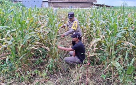 Polisi Malang Kawal Hasil Pertanian Warga agar Pangan Tetap Terjaga