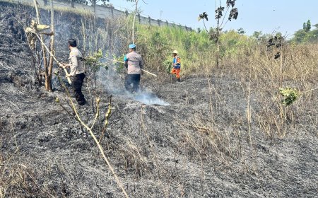Kebakaran Lahan Muncul di KM 60 Tol Malang, Polisi Turun Tangan