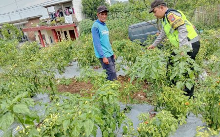 Polres Malang Jadikan Petani Mitra Jaga Ketersediaan Pangan