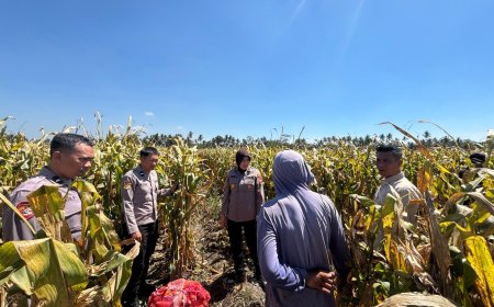 Dari Lahan ke Masyarakat, Polisi Malang Kawal Rantai Pangan