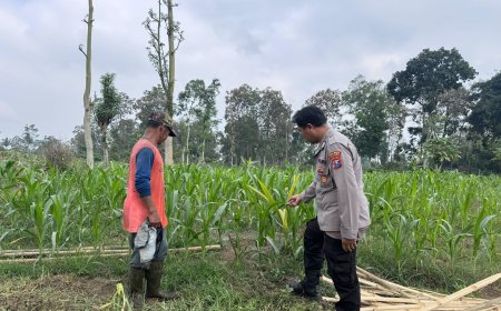 Bukan Cuma Tanam, Polisi Malang Ikut Kawal Hasil Pertanian Warga