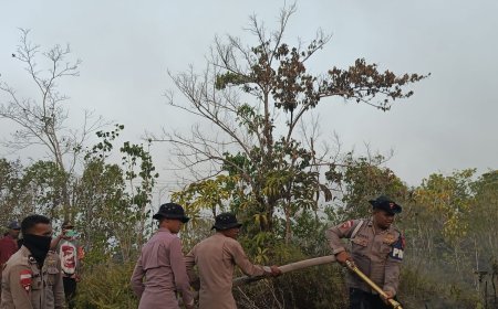 Penanganan Karhutla Hari Keenam, Brimob Kembali Turun Di Biak
