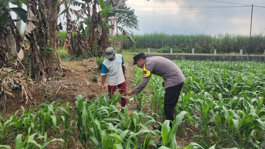 Polres Malang Perkuat Desa Mandiri Pangan Lewat Pendampingan Bhabinkamtibmas