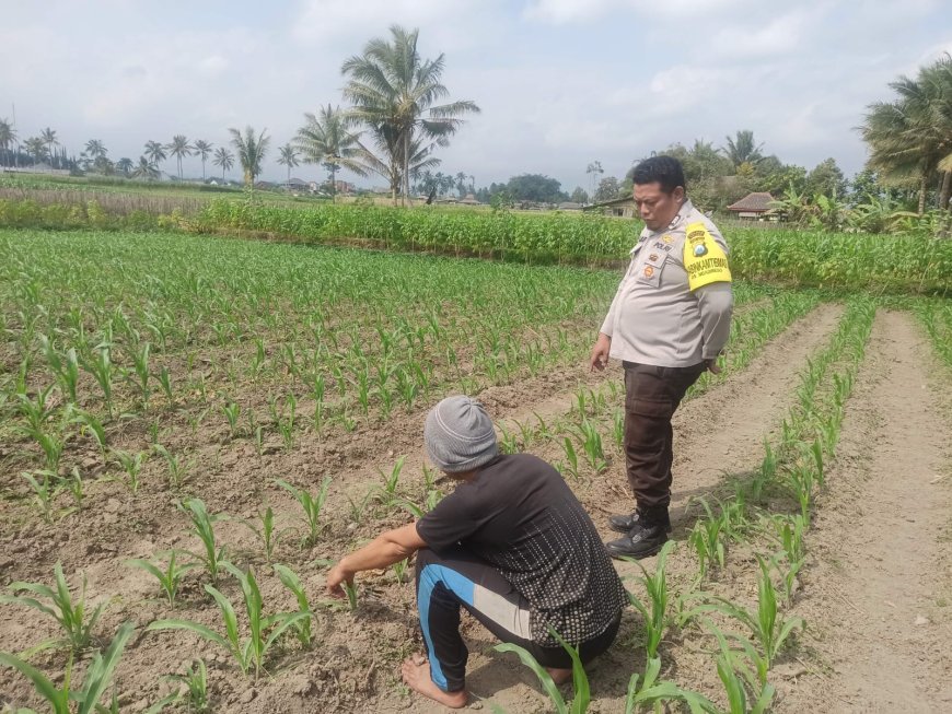 Polres Malang Perkuat Sinergi Antarwilayah untuk Dukung Ketahanan Pangan