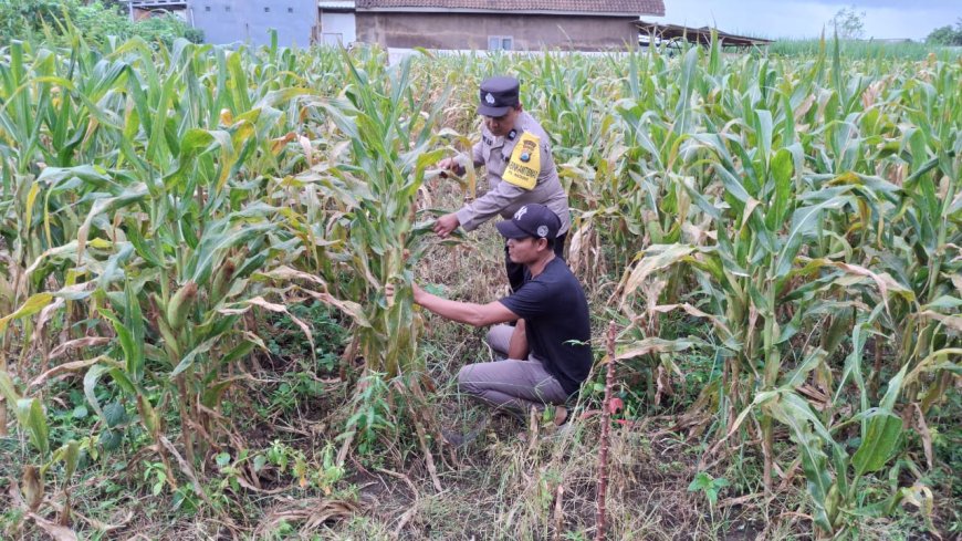 Polres Malang Dorong Warga Perkuat Produksi Komoditas Pangan