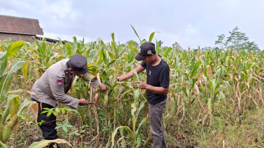 Polres Malang Jadikan Pengembangan Pangan Bagian dari Pemberdayaan Warga