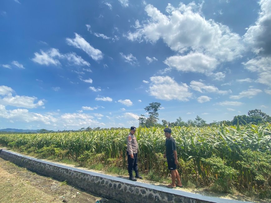 Bhabinkamtibmas Polres Malang Ikut Kawal Lahan Produktif untuk Ketahanan Pangan
