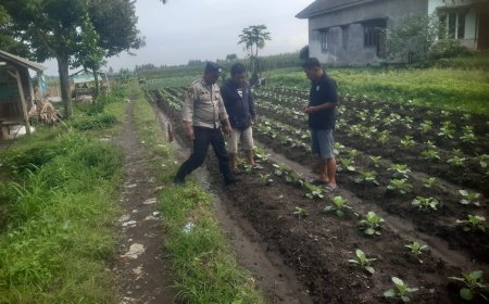 Dampingi Petani, Polres Malang Perkuat Ketahanan Pangan
