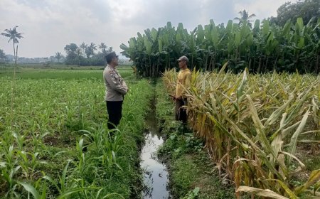 Polres Malang Jaga Keberlanjutan Pertanian, Petani Terus Didampingi