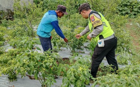Polres Malang Dampingi Petani Perkuat Ketahanan Pangan