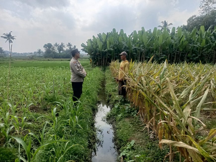 Polres Malang Jaga Keberlanjutan Pertanian, Petani Terus Didampingi