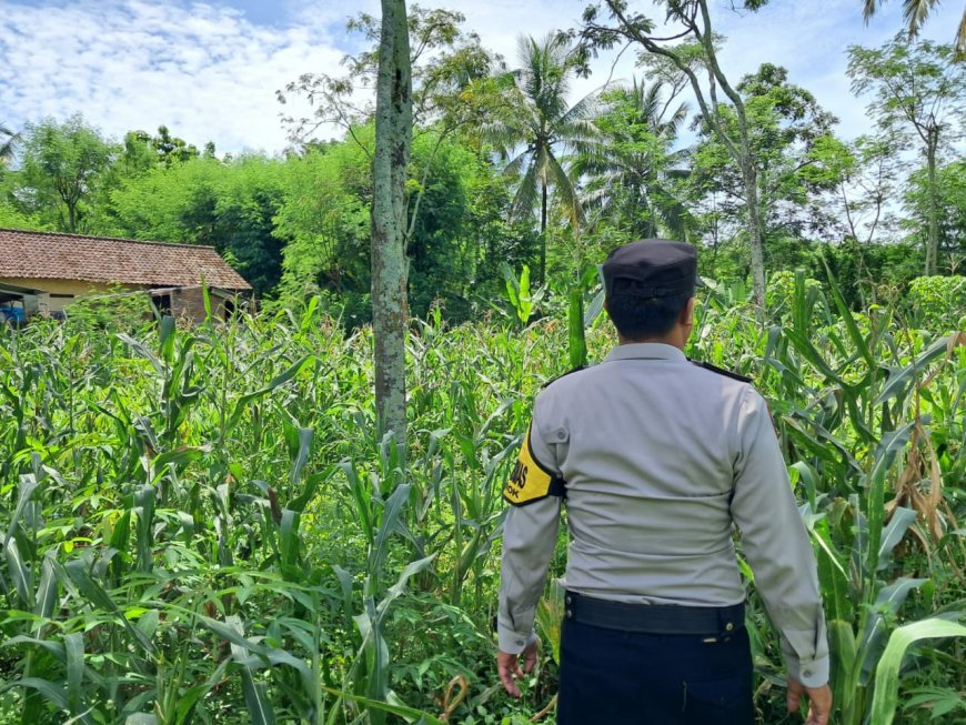 Bhabinkamtibmas Polres Malang Jadi Pendamping Petani Jaga Ketahanan Pangan