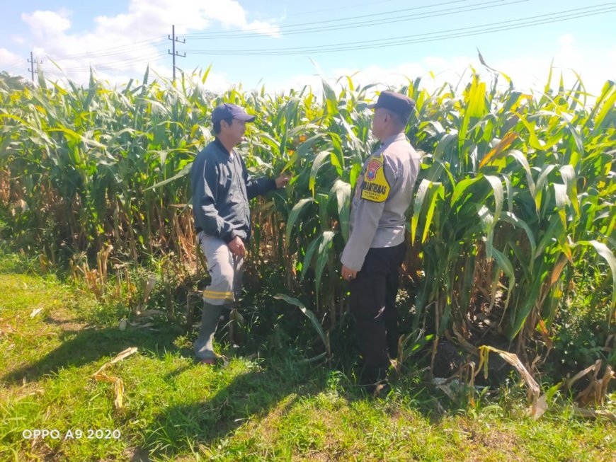 Polres Malang Kawal Pertanian hingga Hasil Tani untuk Jaga Ketahanan Pangan