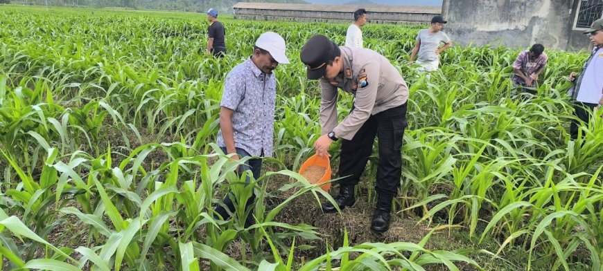 Bhabinkamtibmas Polres Malang Aktif Dampingi Petani Jaga Ketahanan Pangan