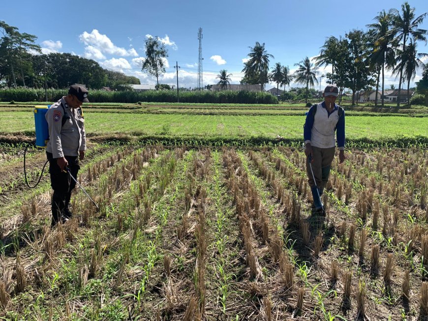 Polres Malang Kawal Pertanian dari Lahan hingga Distribusi Hasil Tani