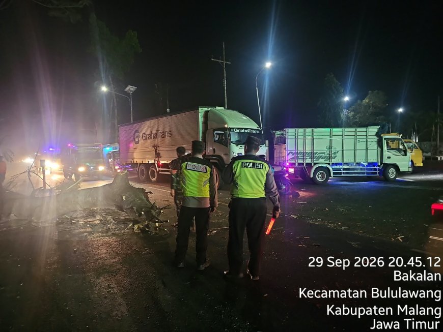 Pohon Tumbang Timpa 2 Pemotor di Bululawang, Laporan Masuk 110 Langsung Direspons