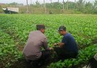 Polres Malang Rangkul Masyarakat untuk Perkuat Ketahanan Pangan
