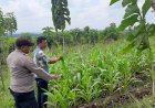 Lahan Produktif Jadi Perhatian, Polres Malang Dukung Ketahanan Pangan