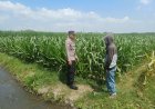 Jaga Pasokan Pangan, Polres Malang Perkuat Sinergi dengan Petani