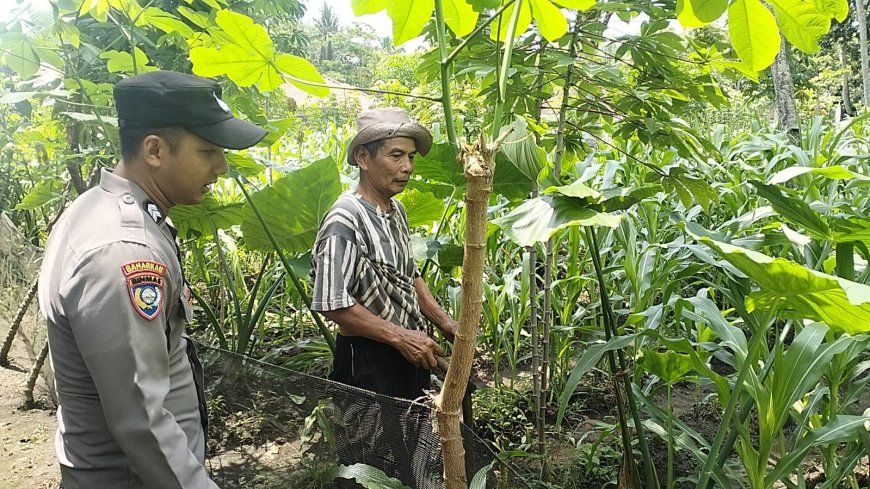 Polisi Ikut Jaga Lahan Pertanian Warga agar Tetap Produktif