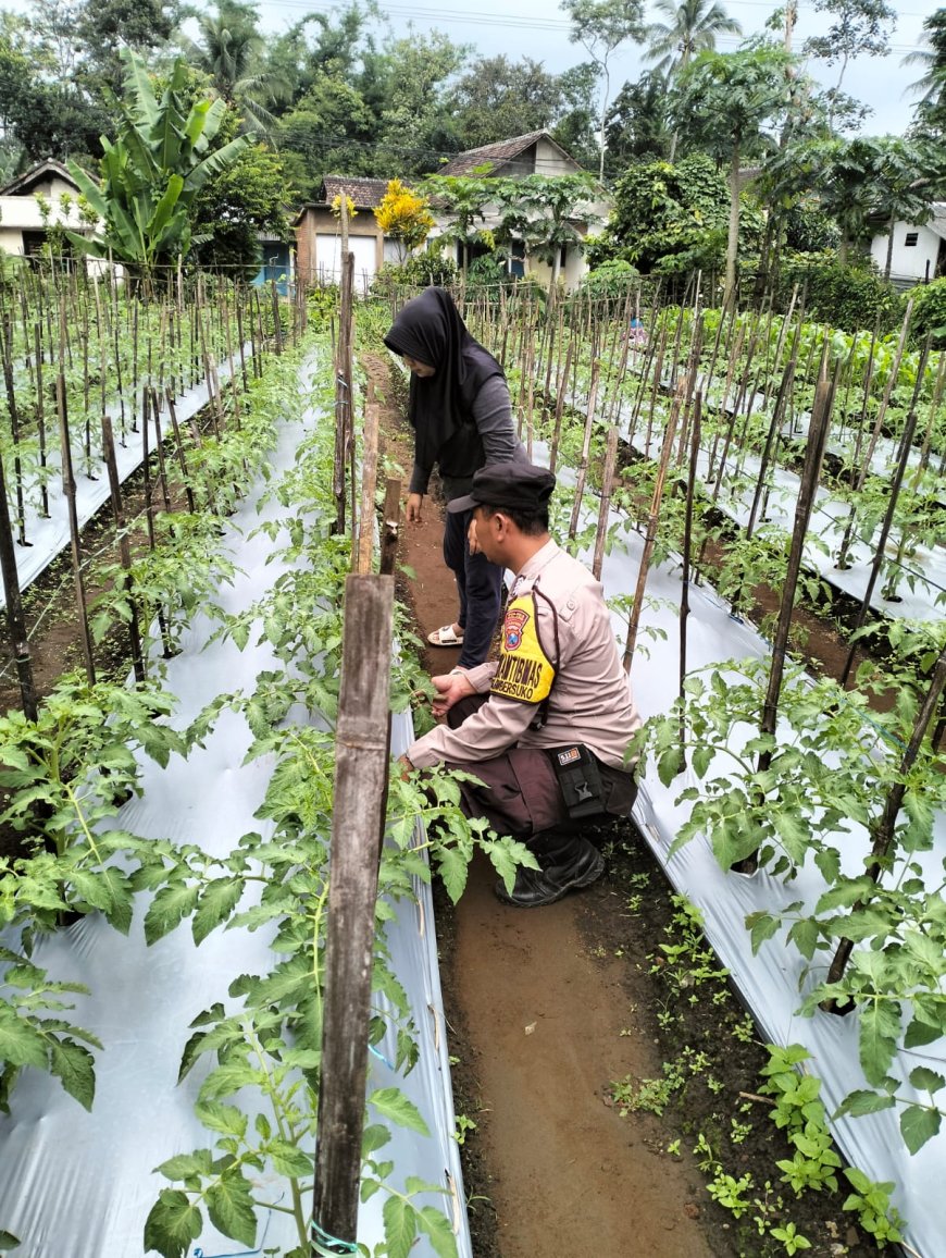 Dukung Petani di Kabupaten Malang, Polisi Perkuat Koordinasi di Lapangan